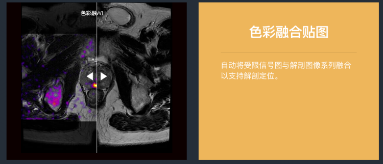 1629352746391.png