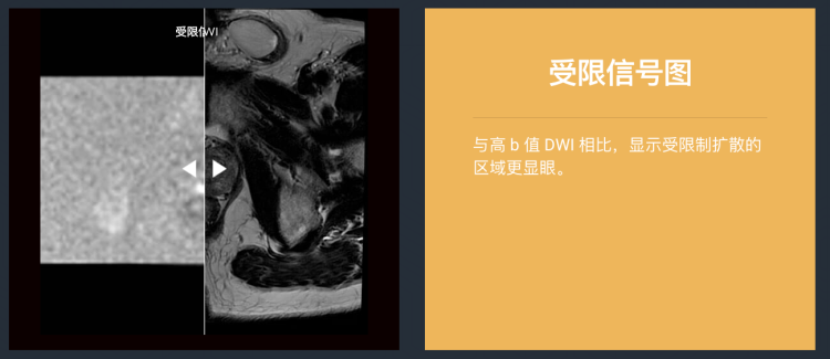 1629352758964.png