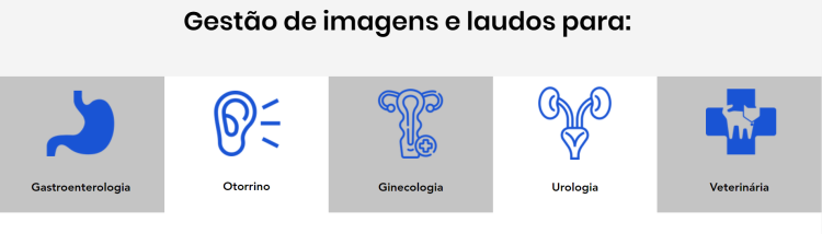 1635490867427.png