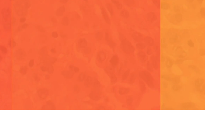 1751895298691.png