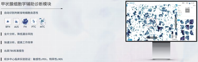 1752507709862.png