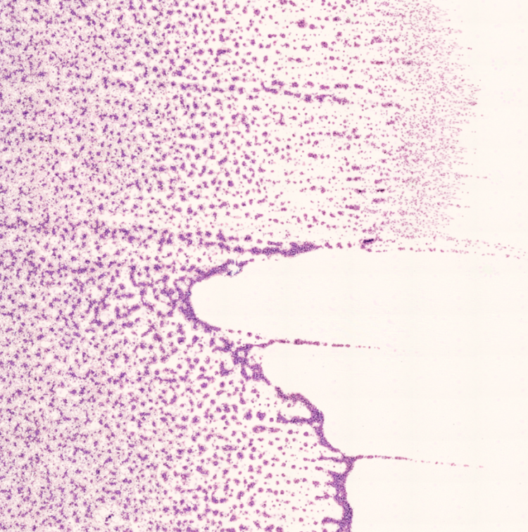 1754985102282.png