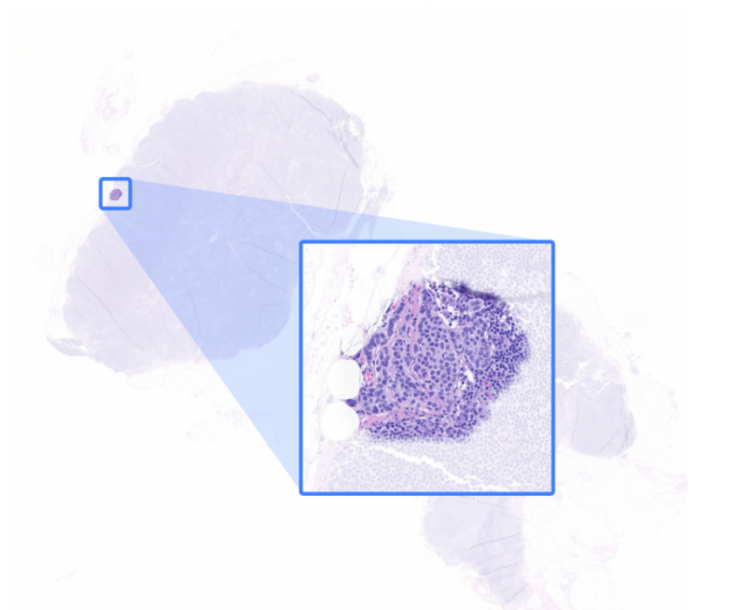 1754998603557.png