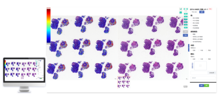 1756692737348.png