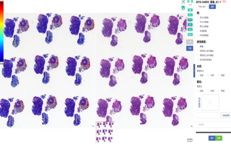 1756692755999.png