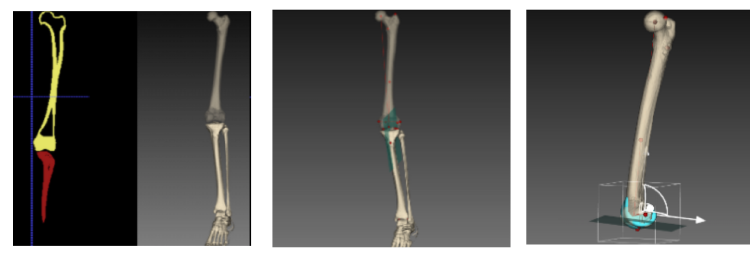 1756989530034.png